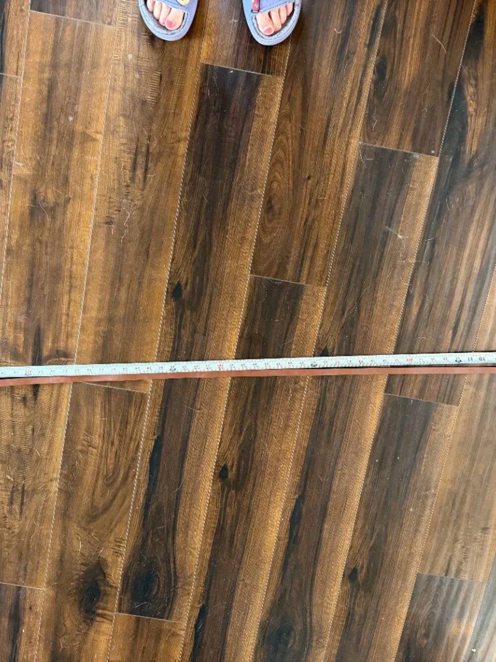 Women's Brown Belt
